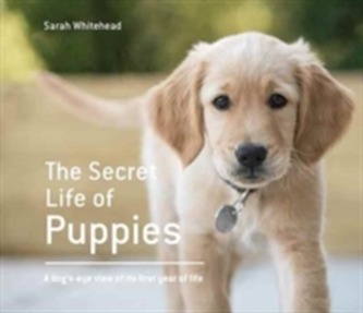 The Secret Life of Puppies