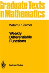 Weakly Differentiable Functions