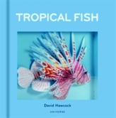 Tropical Fish