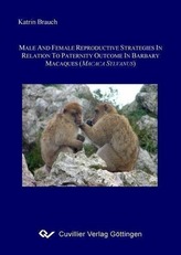 Male and female reproductive strategies in relation to paternity outcome in Barbary macaques