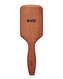 EVO - pete ionic paddle brush