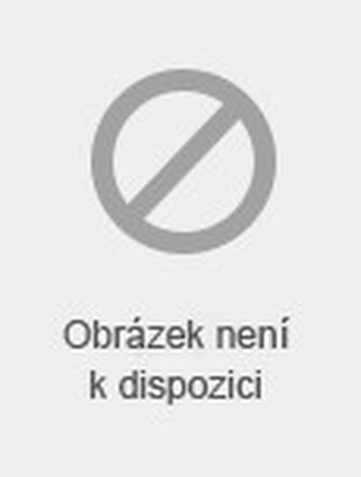 Antologie moravské lidové hudby 9