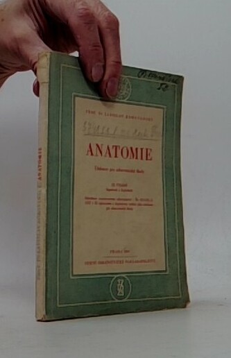 Anatomie