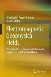 Electromagnetic Geophysical Fields