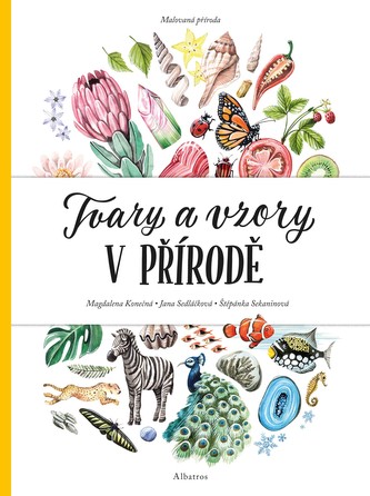 Malovaná příroda. Tvary a vzory v přírodě
