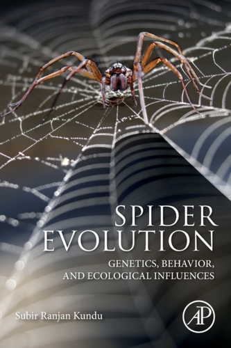 Spider Evolution