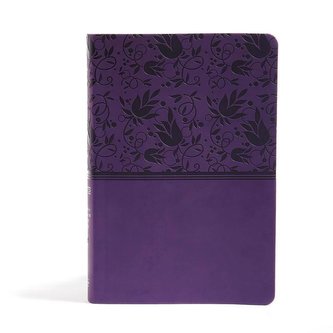 Rainbow Study Bible-NIV