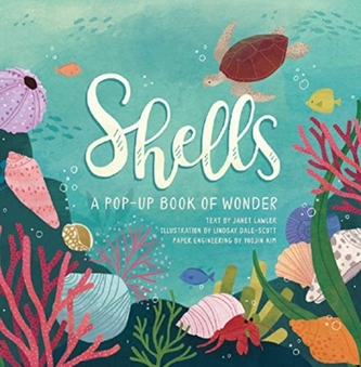 Shells