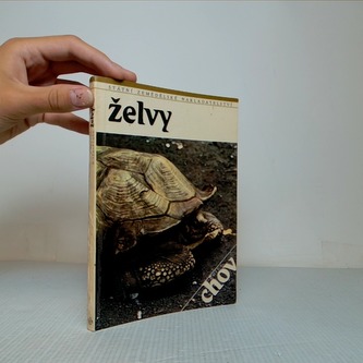 Želvy