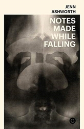 Notes Made While Falling