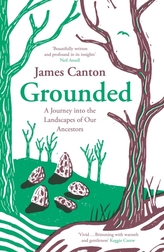 Grounded