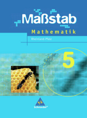 5. Schuljahr