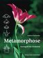 Metamorphose, Kunstgriff der Evolution