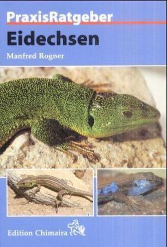 Eidechsen