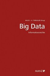Big Data