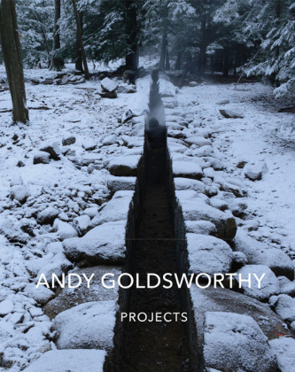 Projects