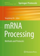 mRNA Processing